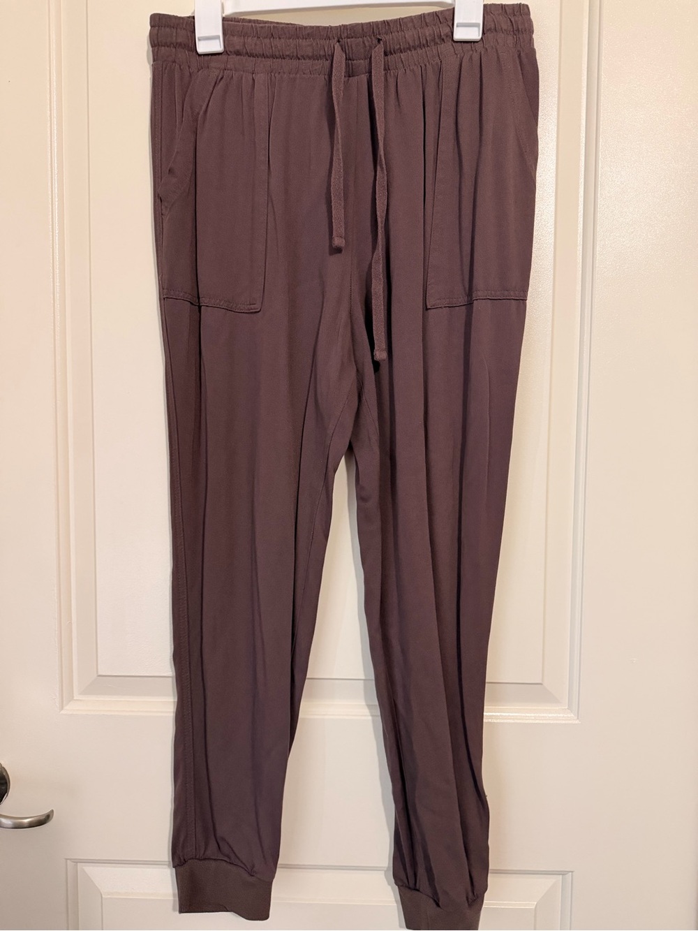 Splendid Brown Elastic Waist Pull-On Pants